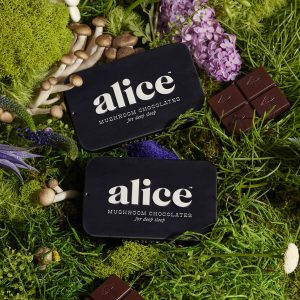 buy Alice Mushrooms Nightcap Chocolate Bar online
