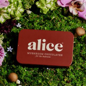 Buy Alice Mushrooms Happy Ending Chocolate Online