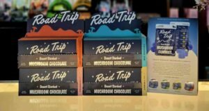 road trip mushroom chocolate bar