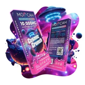 Moocah Megadose Mushroom Chocolate
