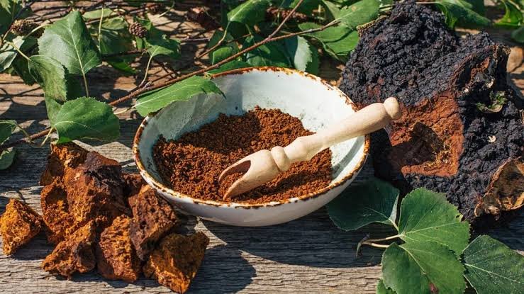 mushroom chocolate ingredients